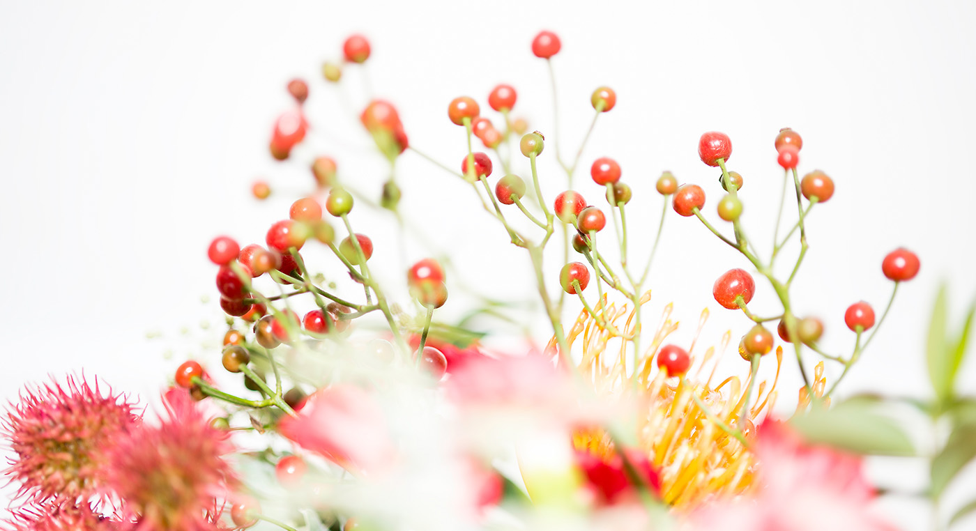 Bild zu Crankiosacral Tarife